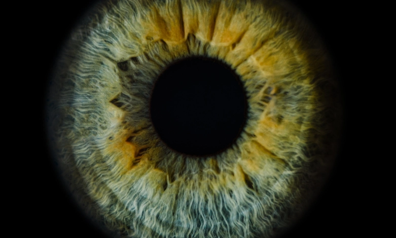 Macro image of an eye’s iris showing detail used in advanced eye care diagnostics.